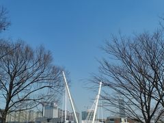 -映月湖中央公园