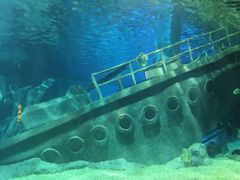 -福州罗源湾海洋世界旅游区