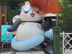 -轩客会(熊猫书店)