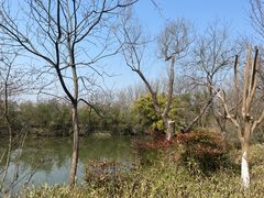 -西溪国家湿地公园