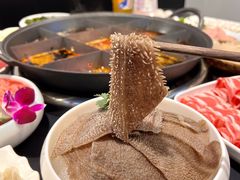 -俏媳妇火锅(宽窄巷子店)