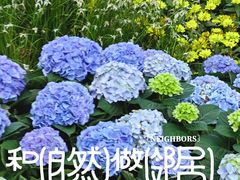 -云溪植物园