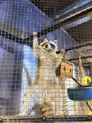 -酷嗒动物文化乐园(cutezoo西溪乐天城店)