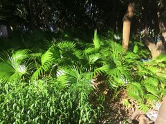 -深圳市人才园(深南大道店)