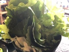 苏叶生菜拼盘-碳匠炭火烤肉