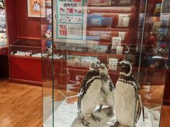 -海合安武汉极地海洋公园