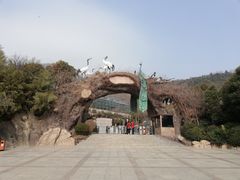 -石老人观光园