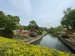 -羊山湖公园