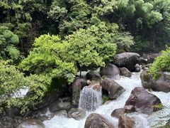 -大鄣山卧龙谷景区