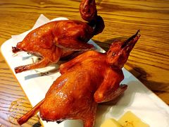 -大鸽饭(岗顶店)