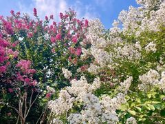 -杭州城北体育公园