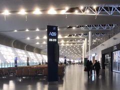 -合肥新桥国际机场-航站楼