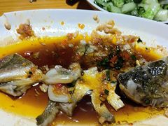 -大鸽饭(马王堆店)
