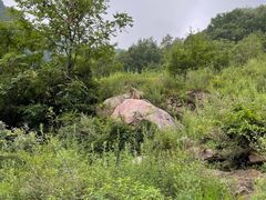 -历山猕猴源景区