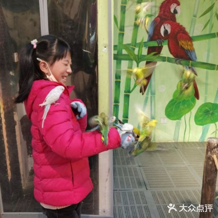 超级棒的萌宠社亲子票只要110元