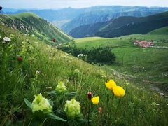 -蔚县茶山村