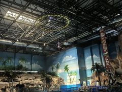 -华夏文旅海洋公园