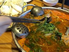 -老凯俚酸汤鱼(鸿通城店)