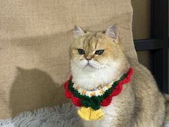 -爱派特动物医院·全科诊疗中心