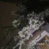 一起合道