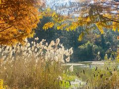 -南京市无想山景区