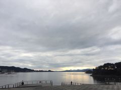 -全乐鱼馆·淳牌有机鱼直营店