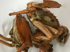 -莲花公园煎蟹(总店)