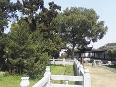 -司徒庙