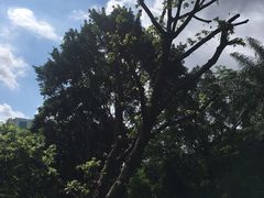 -晓港公园