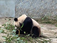 -西安秦岭野生动物园