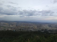 -长虫山生态公园风景林