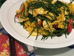 沙葱炒鸡蛋-撒拉花儿·新疆菜·清真(太阳宫店)