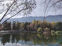 -三塔倒影公园