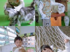 -上海佘山世茂艾美酒店