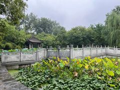 -莲湖公园