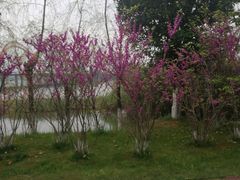 -艾溪湖湿地公园