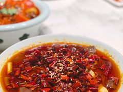 毛血旺-初蓉丨遇见新川菜(亲贤街荣耀店)