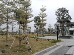 -王借岗森林公园