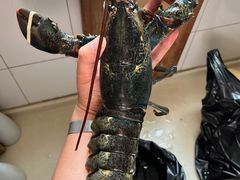 -胡家庙海鲜副食批发市场