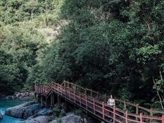 -广州白江湖森林公园