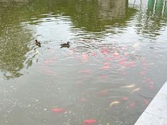 -北京西山国家森林公园