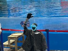 -合肥海洋世界