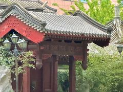 -团结湖公园