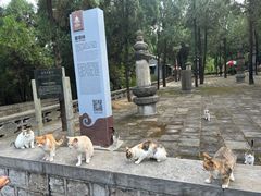 -四门塔风景区