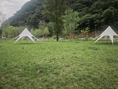 -牛背梁国家森林公园