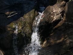 -广州白江湖森林公园