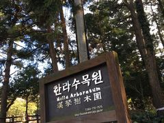 -汉拿树木园