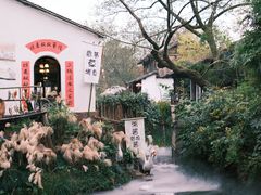 -西溪国家湿地公园