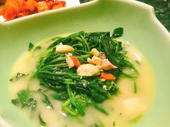 上汤菠菜-新白鹿餐厅(悠迈生活广场店)