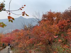 -周口店坡峰岭风景区